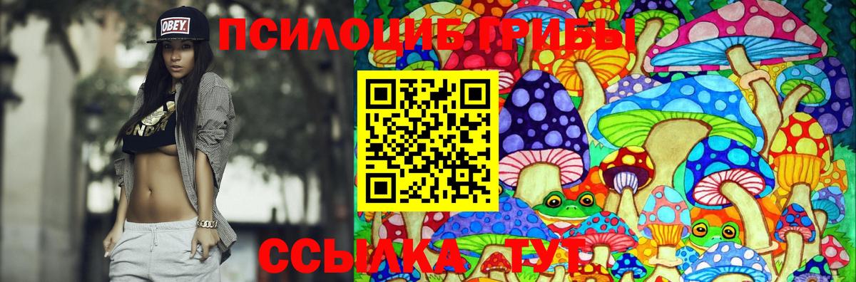 Егорьевск  Галлюциногенные грибы мухоморы  Вход с VPN 